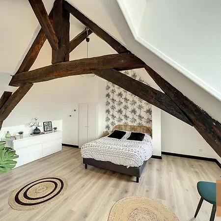 Bienvenue Chez Noemie - Arrivee Autonome 아파트 샤틀레로